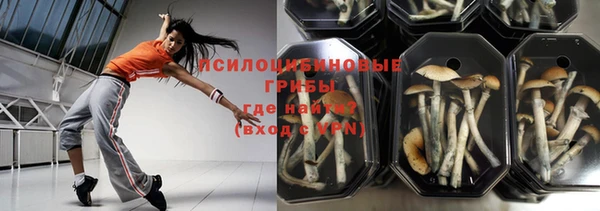 jwh Вяземский