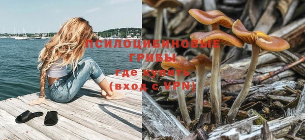 jwh Вяземский