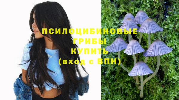 jwh Вяземский