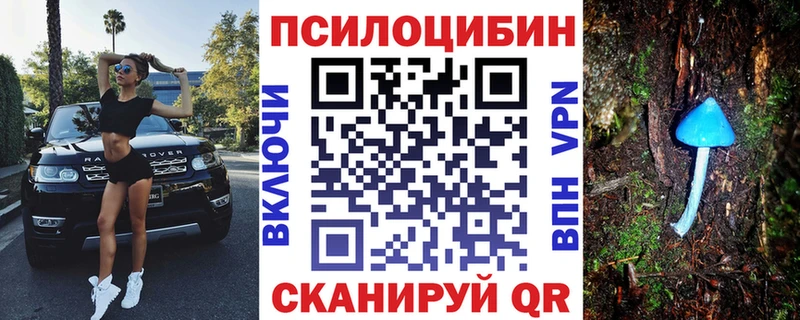Псилоцибиновые грибы Cubensis  OMG tor  Коломна 
